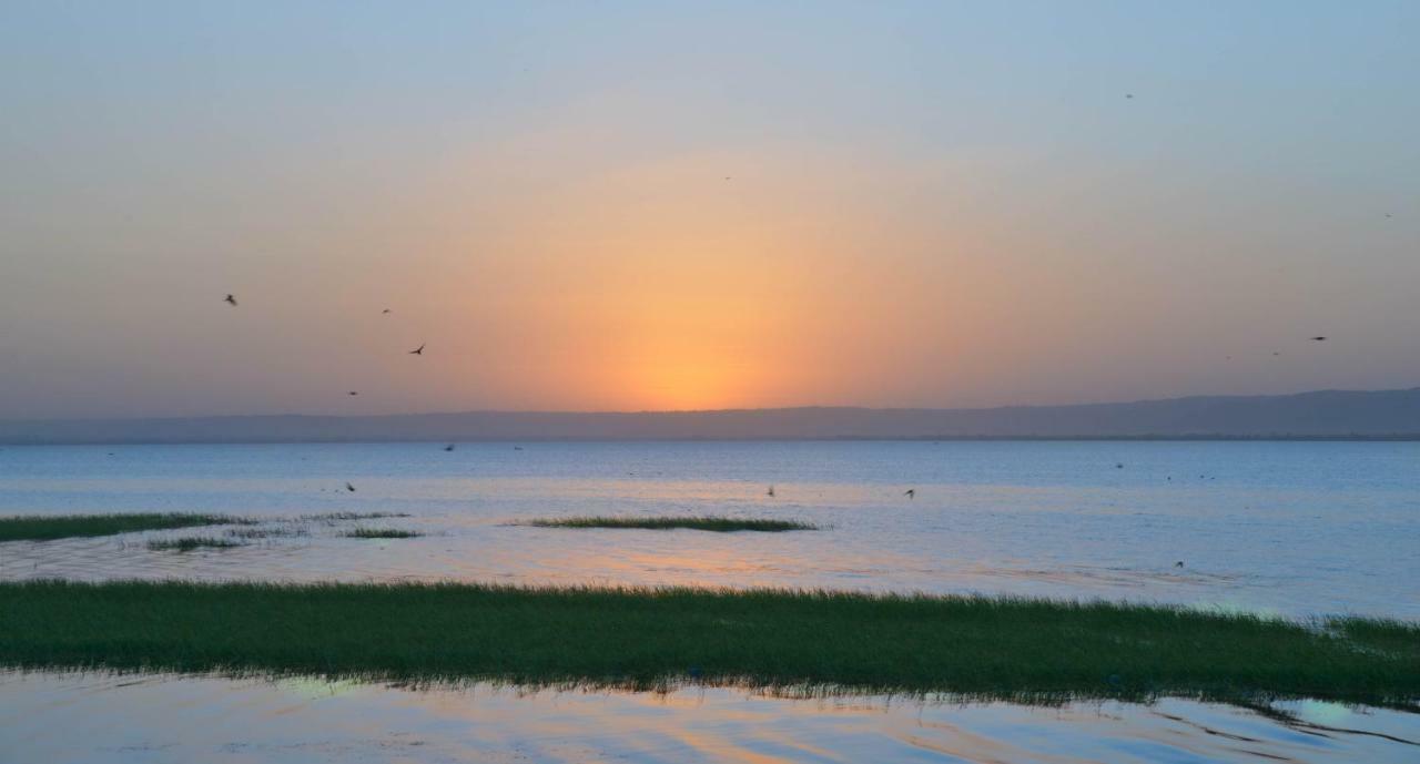 Haile Resort Hأواسا المظهر الخارجي الصورة